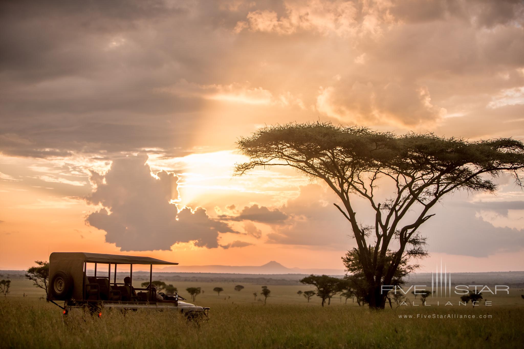 Singita Grumeti Sabora Tented Camp