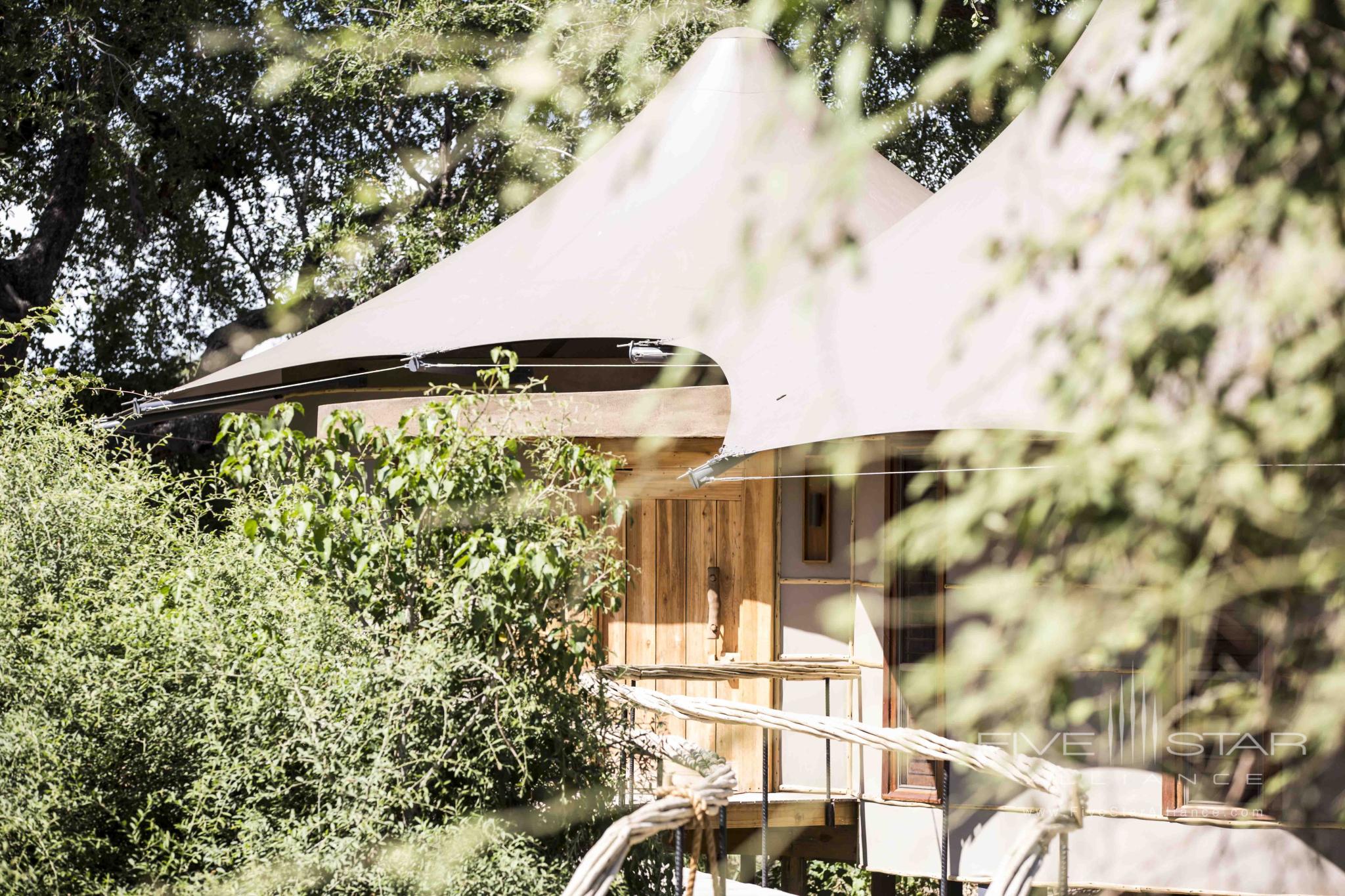Wilderness Mombo Camp