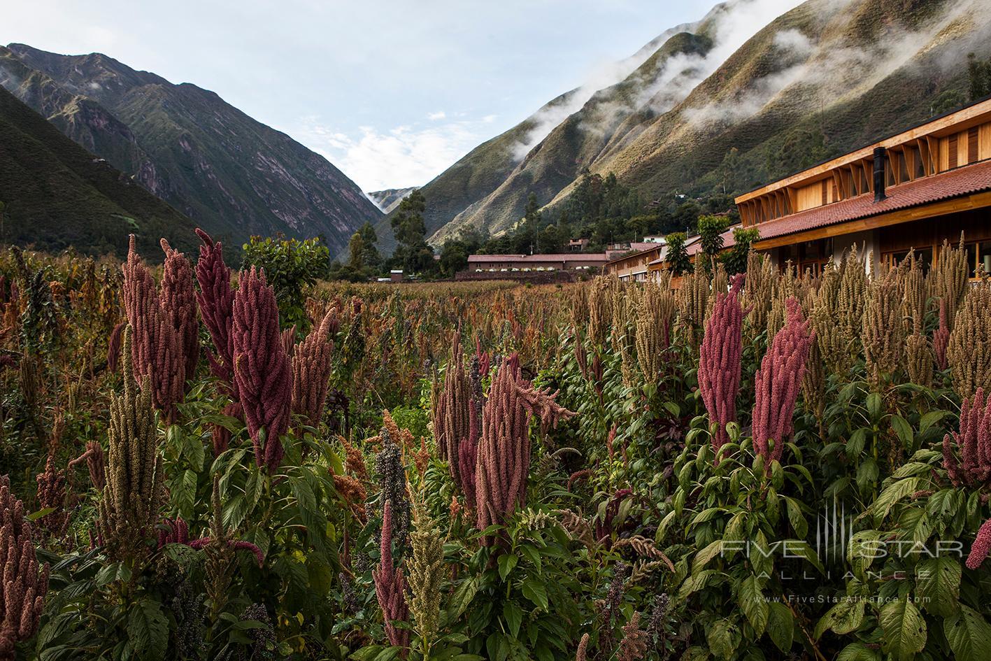 Explora Sacred Valley Valle Sagrado