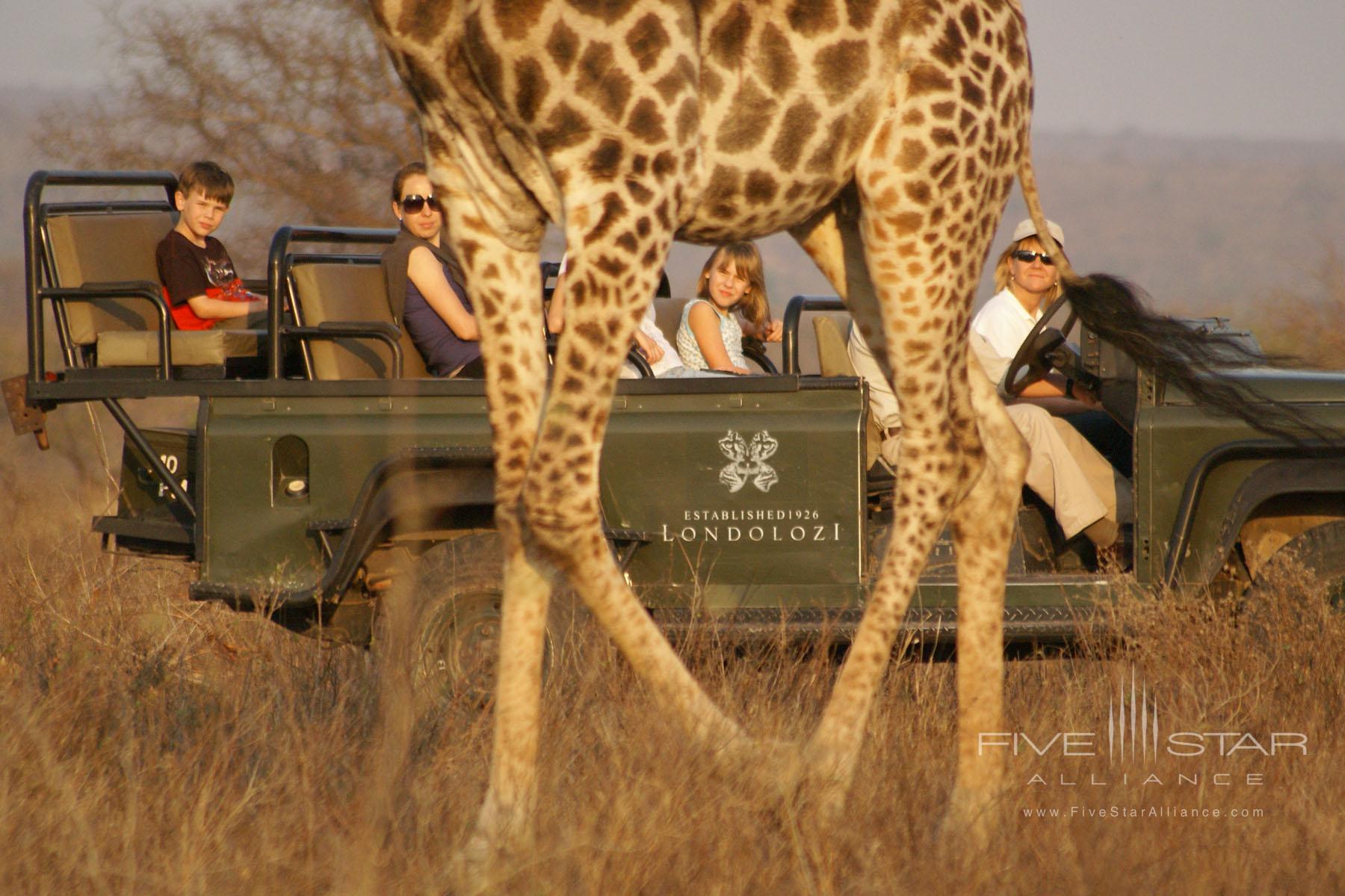 Londolozi Private Game Reserve Sabi Sands
