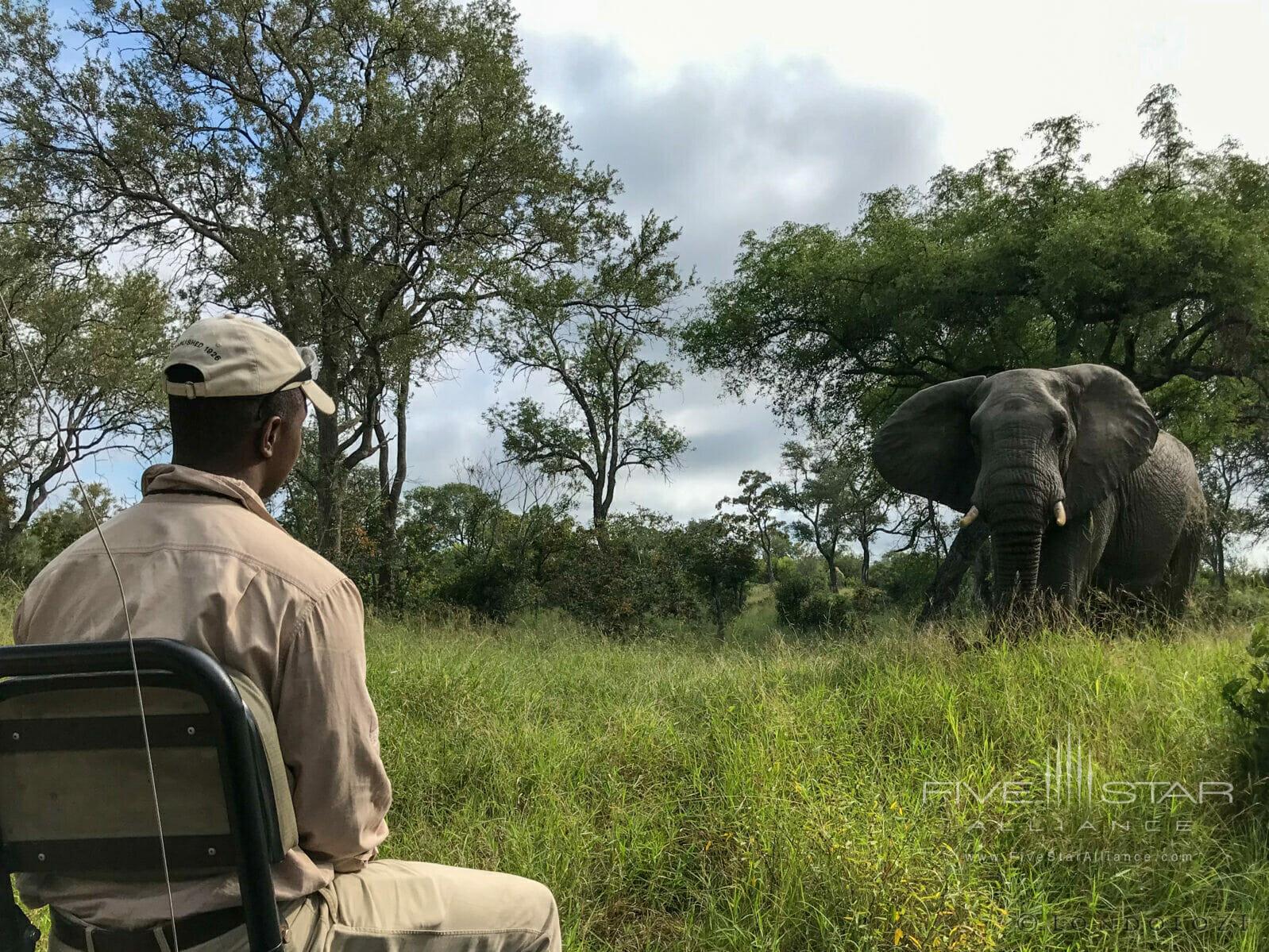 Londolozi Private Game Reserve Sabi Sands