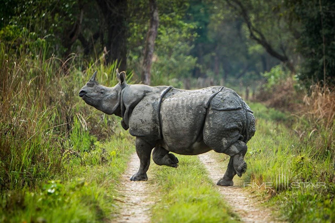 Meghauli Serai Taj Safari