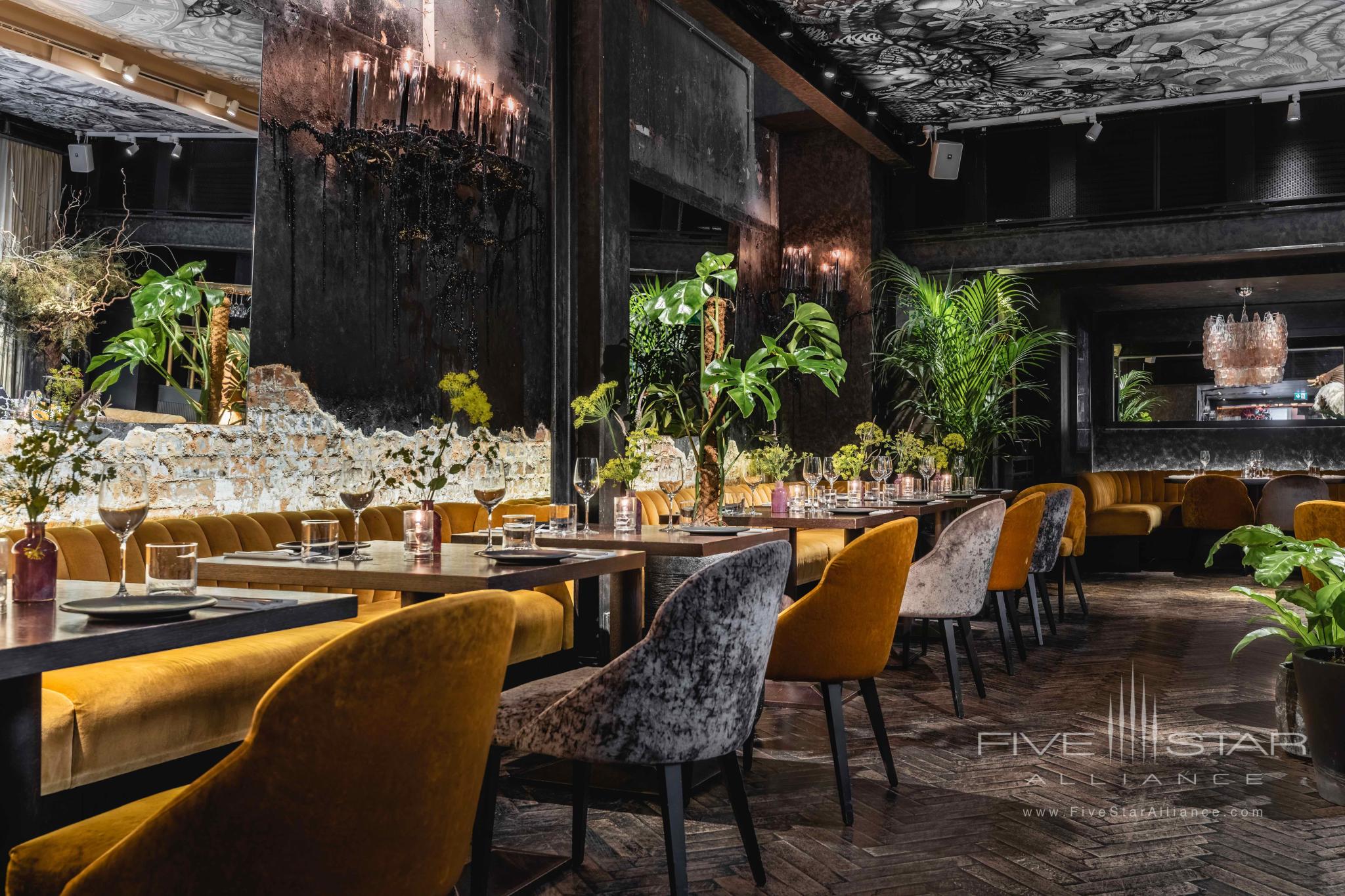 The Mandrake Hotel