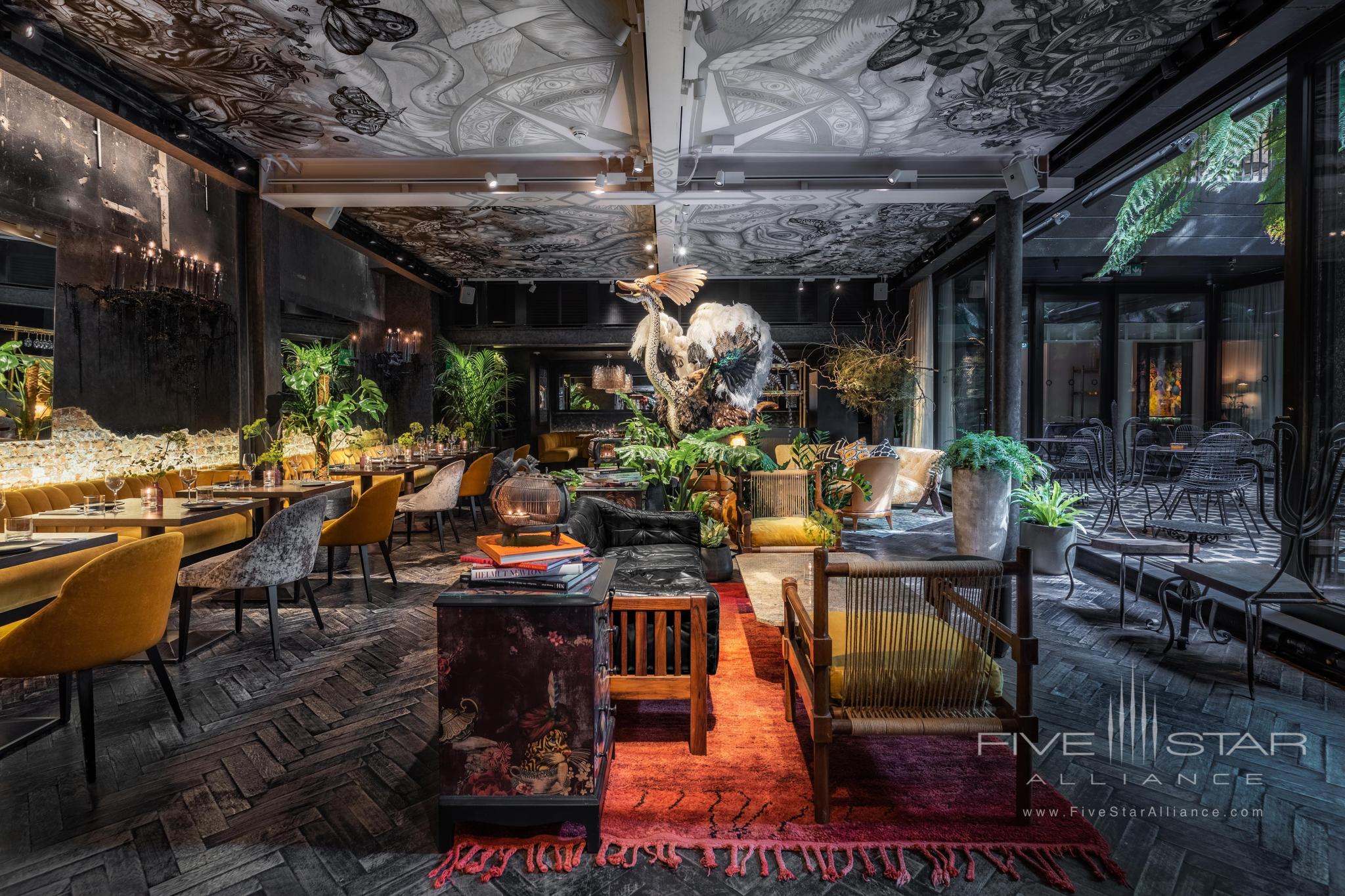 The Mandrake Hotel