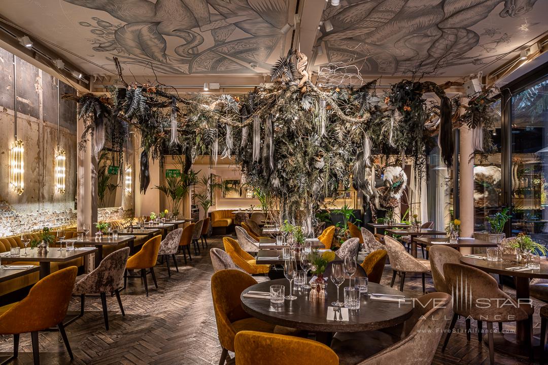 The Mandrake Hotel