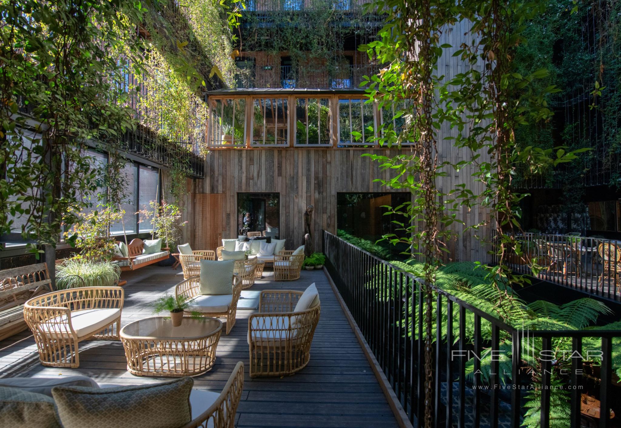 The Mandrake Hotel