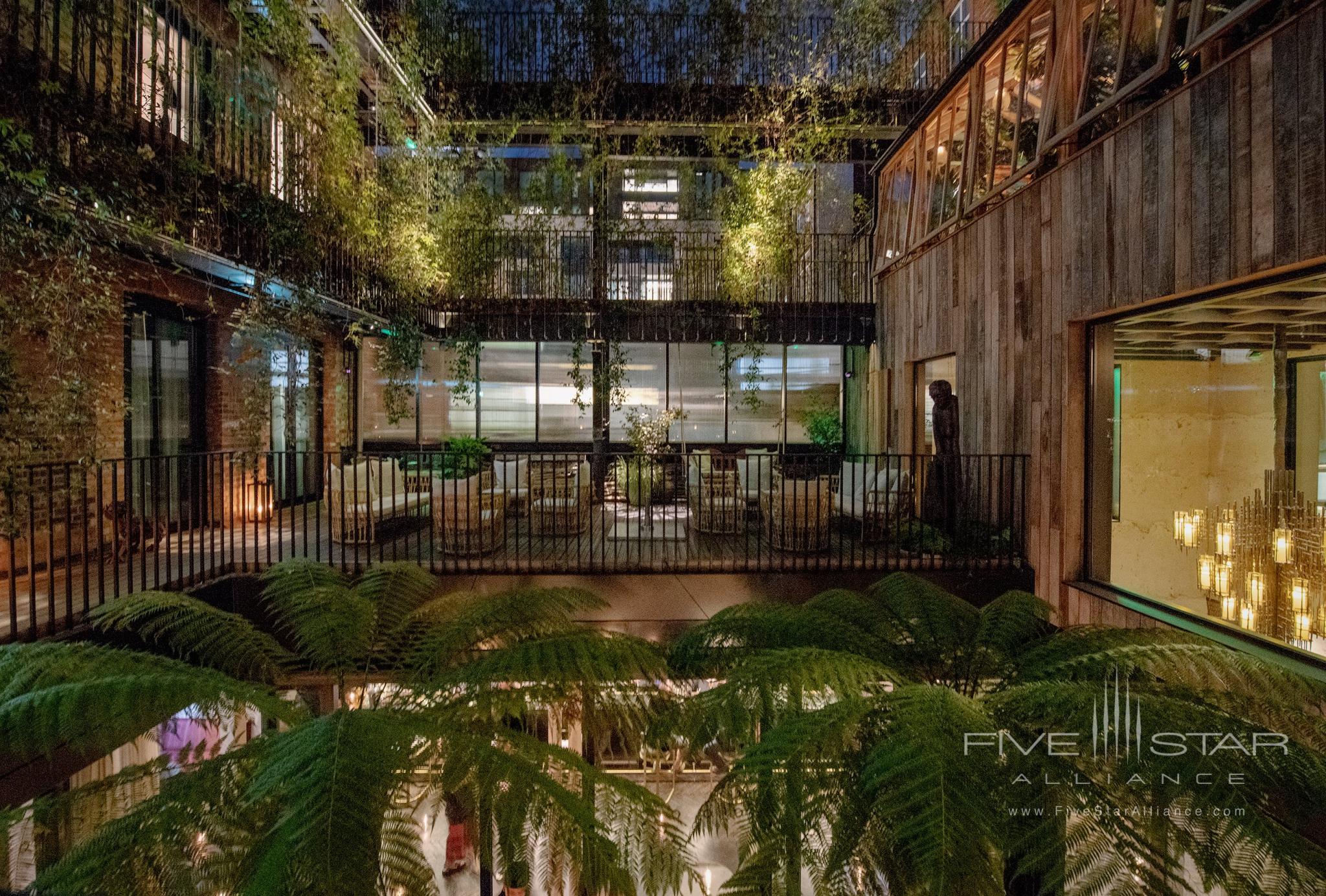 The Mandrake Hotel