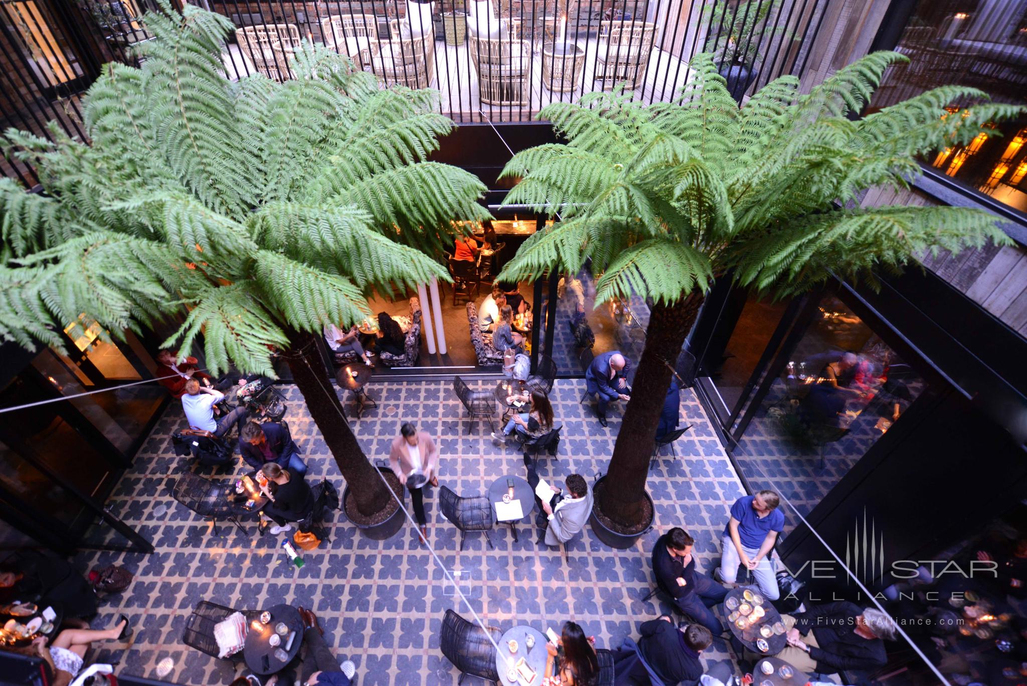 The Mandrake Hotel