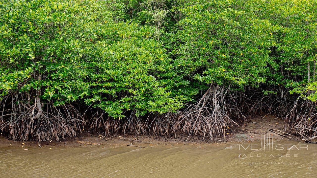 Bawah Reserve