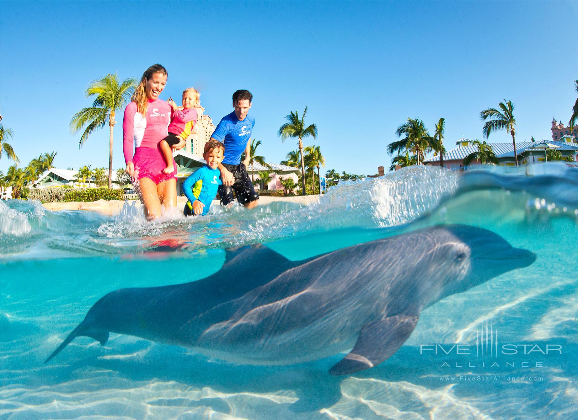 The Reef Atlantis