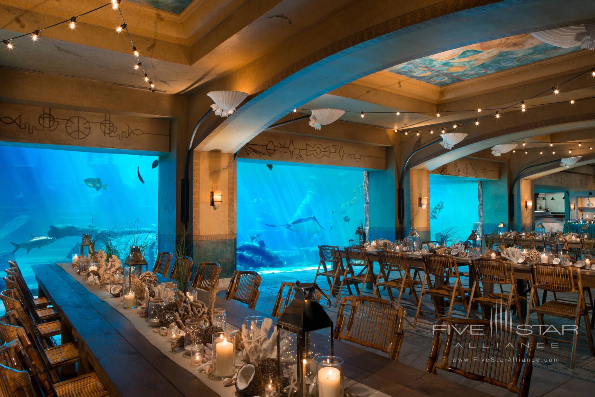 The Reef Atlantis
