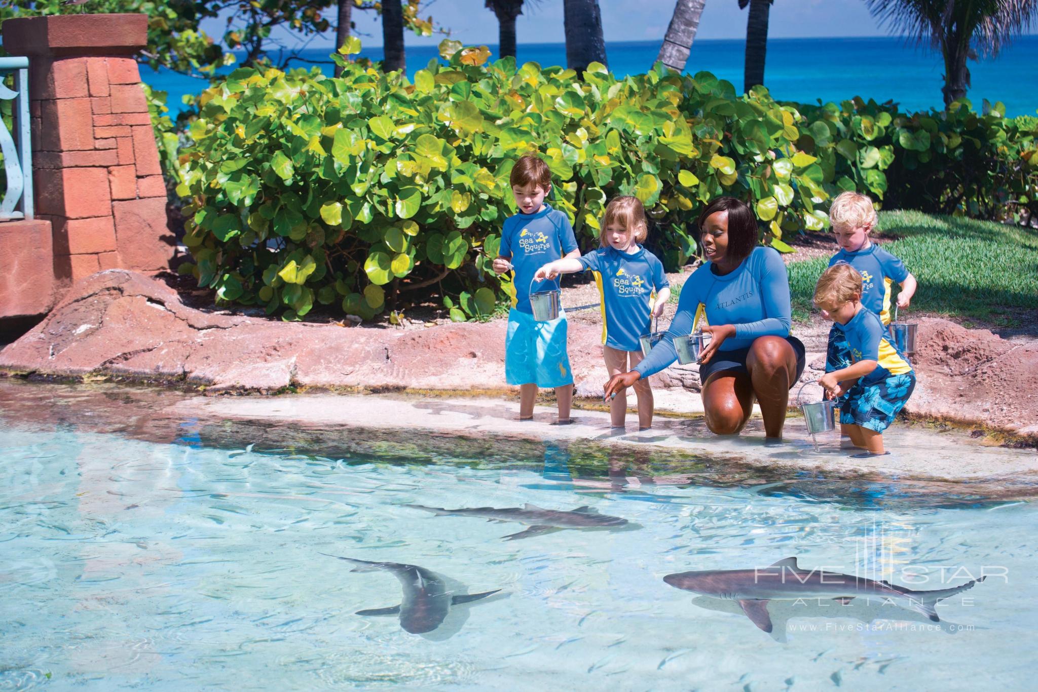 The Reef Atlantis