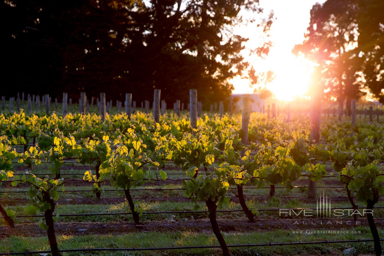 The Marlborough Boutique Hotel