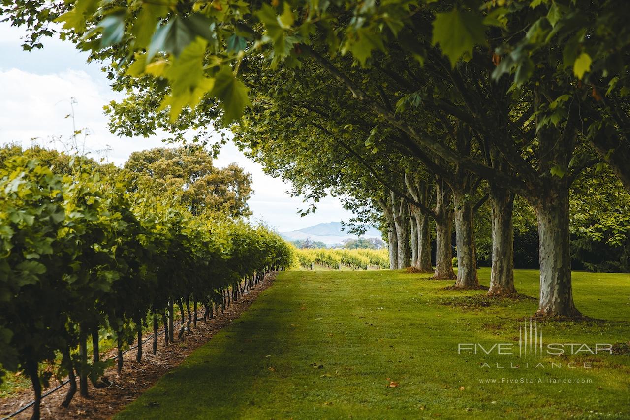 The Marlborough Boutique Hotel