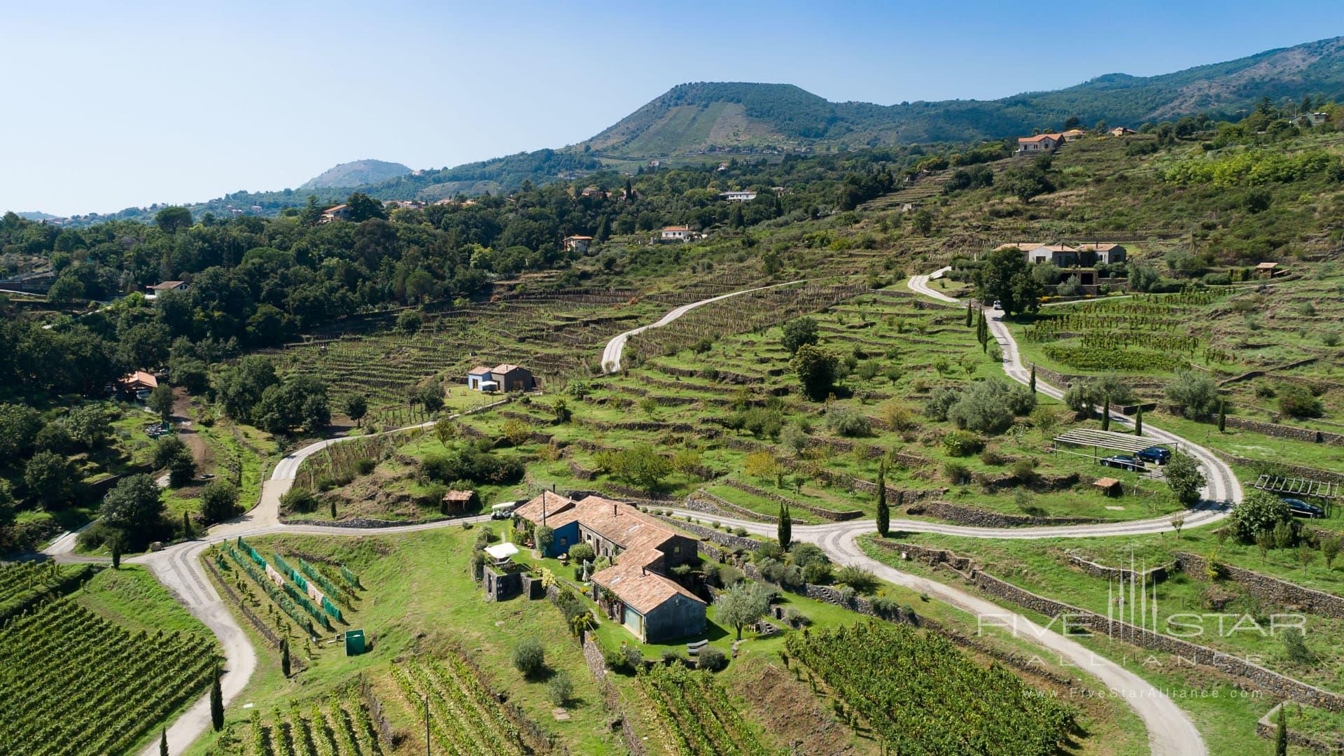 Monaci Delle Terre Nere