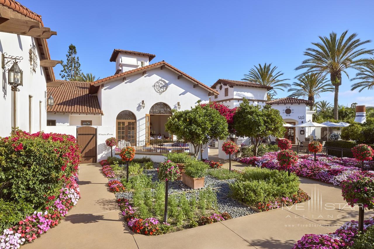 La Costa Resort and Spa