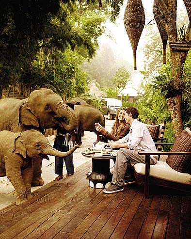 Î‘Ï€Î¿Ï„Î­Î»ÎµÏƒÎ¼Î± ÎµÎ¹ÎºÏŒÎ½Î±Ï‚ Î³Î¹Î± An unforgettable day in the mystical mountain jungles at Four Seasons tented camp Golden Triangle