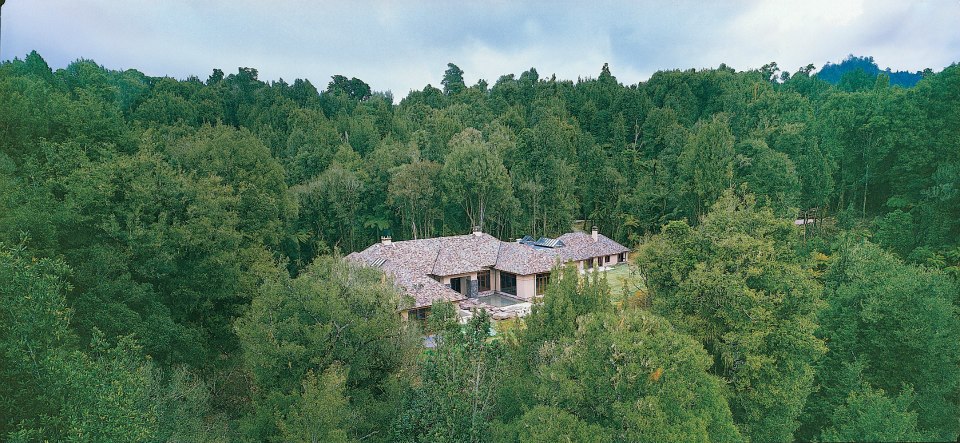 Treetops Lodge and Estate