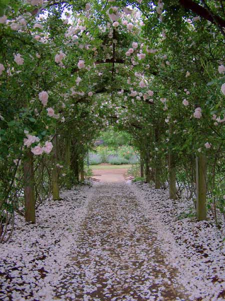 Barnsley Gardens Resort