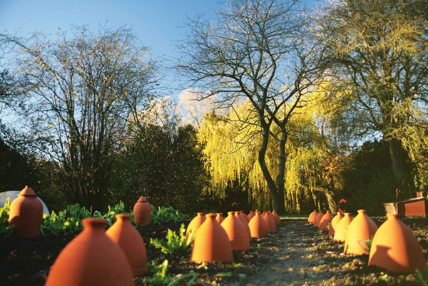 Le Manoir Aux Quat Saisons