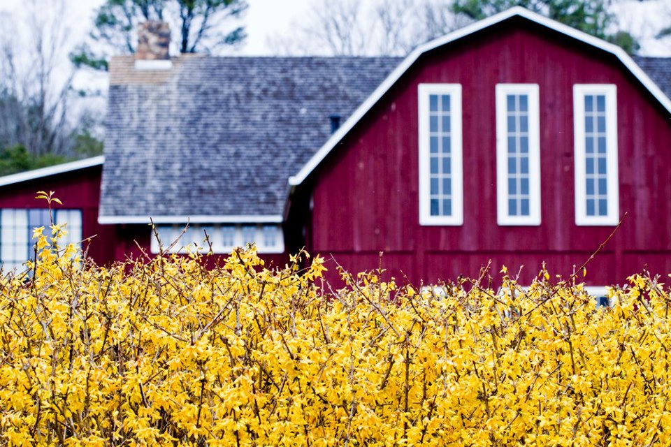 Blackberry Farm