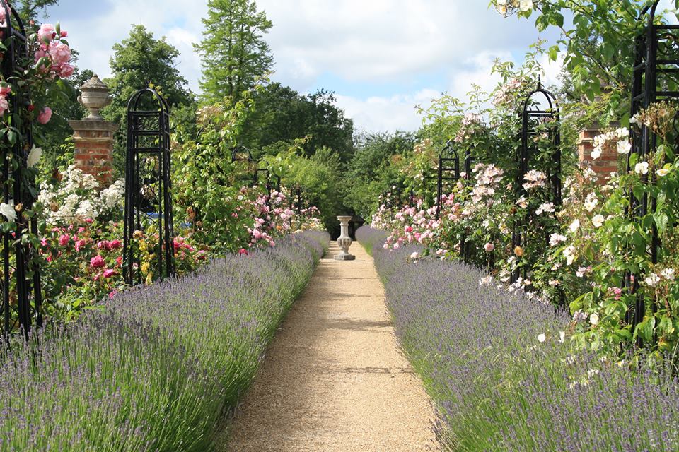 Four Seasons Hampshire