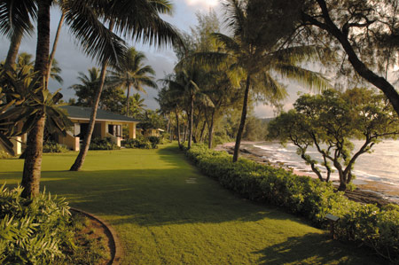 Turtle Bay Resort