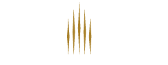 Five Star Alliance logo